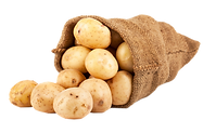 [CITYPNG.COM]White Potatoes In A Bag HD PNG - 1834x1032.png