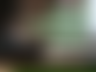 2024/4/15 [社福及衛環委員會] 揭露兒少性影像拍攝圈套！對症下藥才能保護兒少、防制犯罪