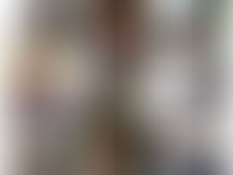 Olimpíada de Língua Portuguesa (OLP): a pedagogia da pedra