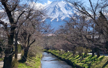 Views of Mt Fuji by a river in japan