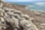 Dried salt in dead sea