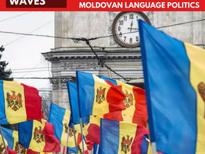 Cutting through the linguistic fog: the state of Moldovan language politics