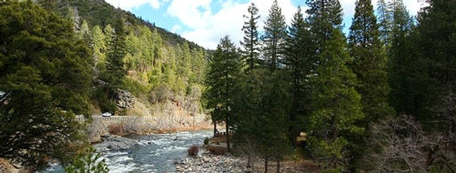 Truckee River Fly Fishing-min (1)_edited.jpg