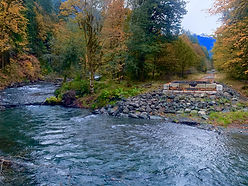 Wahington Fly Fishing.jpg