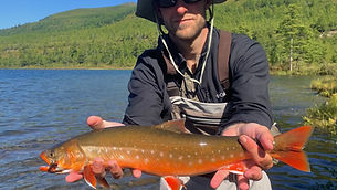 Neiva Char_edited.jpg