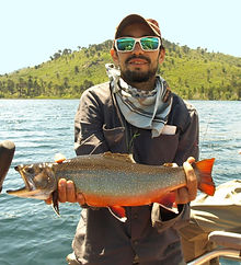 Trout Species of Patagonia | Georgia Wild Trout
