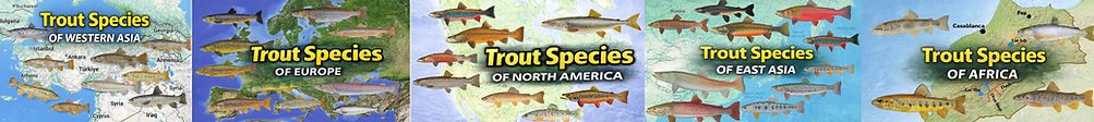 The Worlds Trout Banner (1).jpg