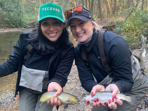 Fly Fishing Smith Creek in Helen