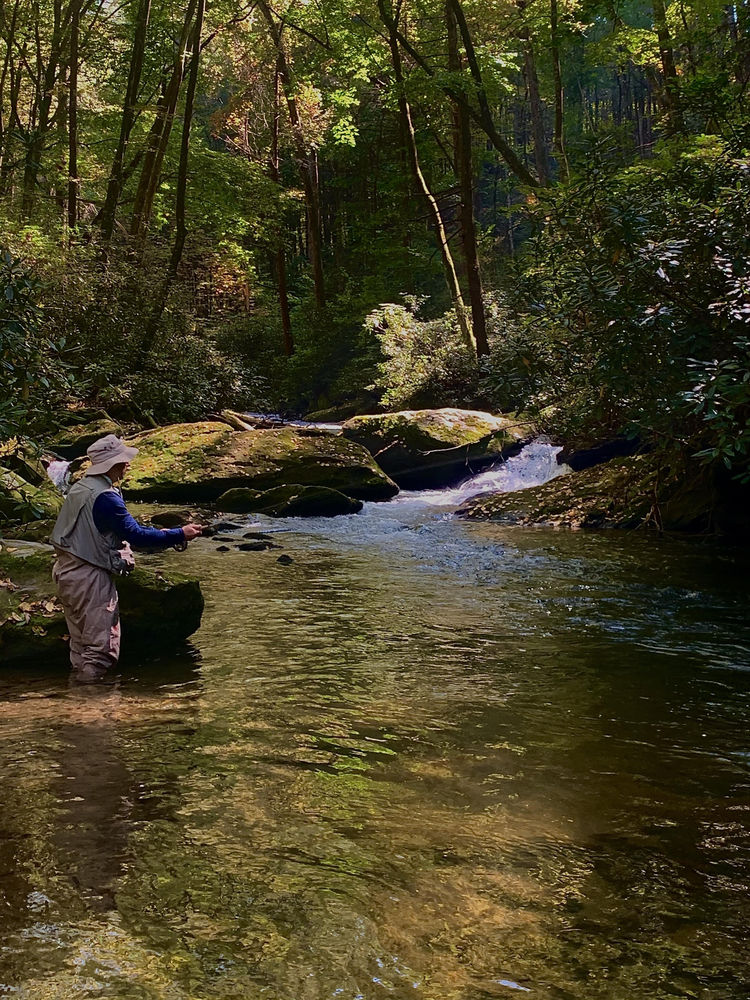 Trout Fishing Ellijay