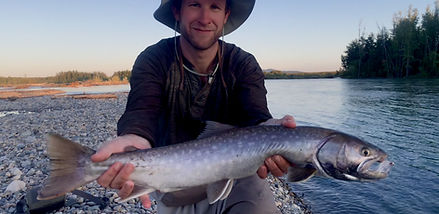 White Spotted Char.jpg