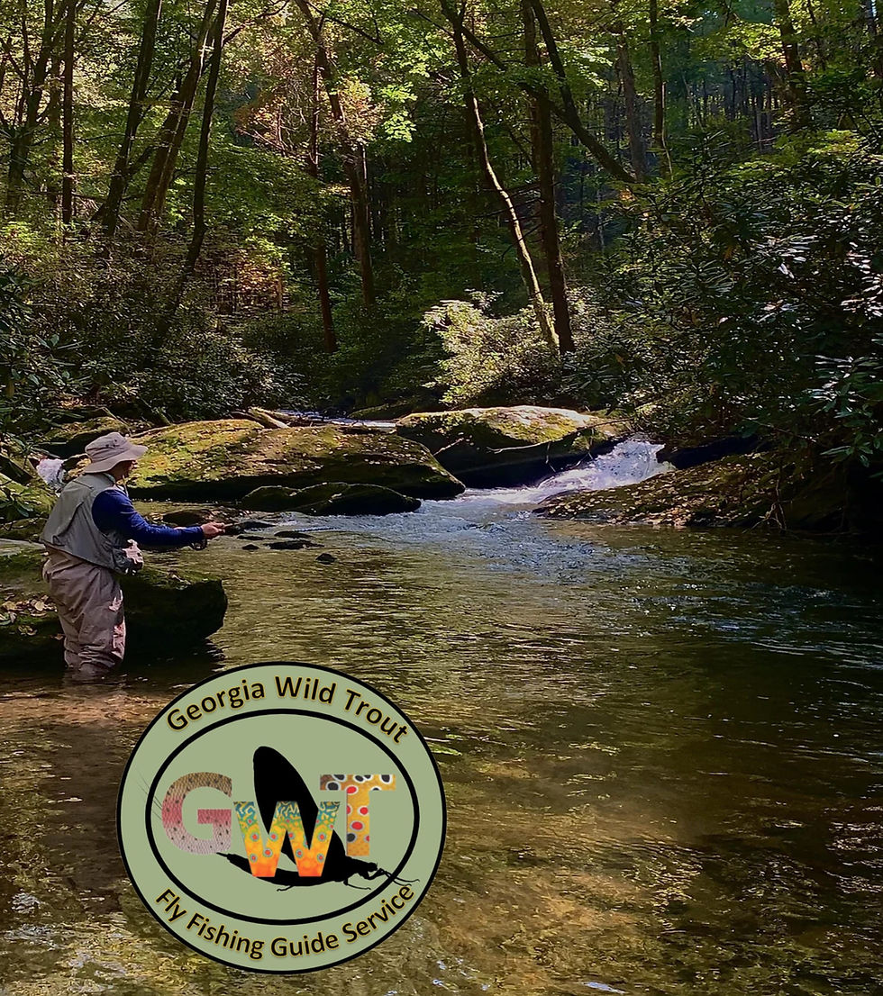 Trout Fishing Ellijay