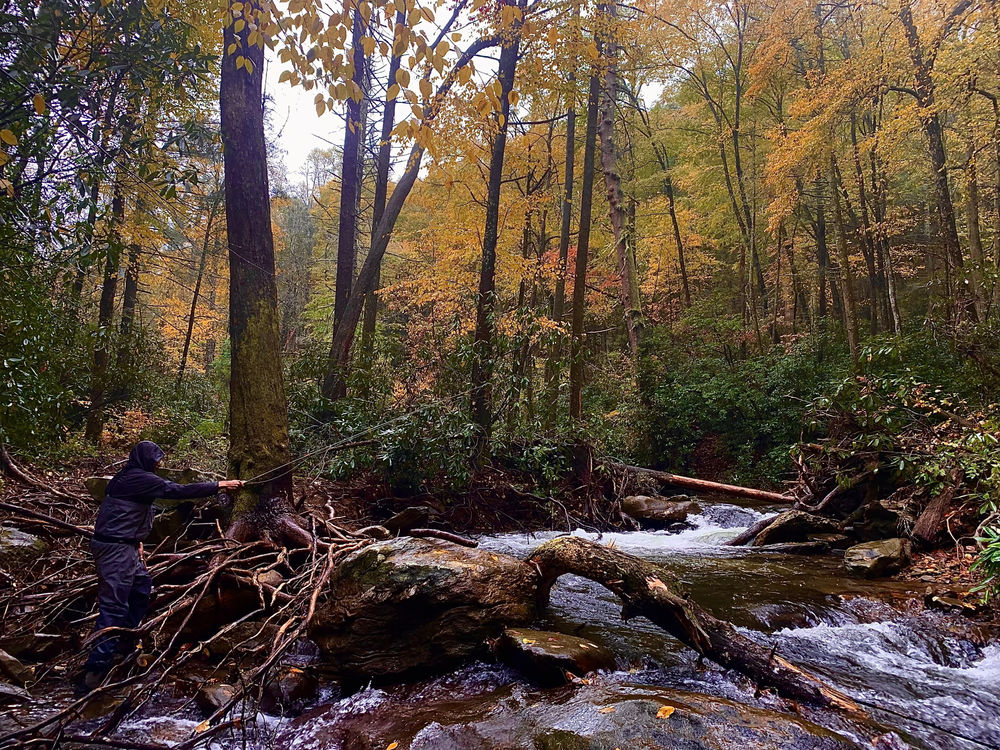 Trout Fishing Blue Ridge