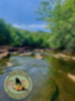 North Georgia Fly Fishing Guide Service