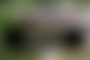 2026 Customer Appreciation Day!