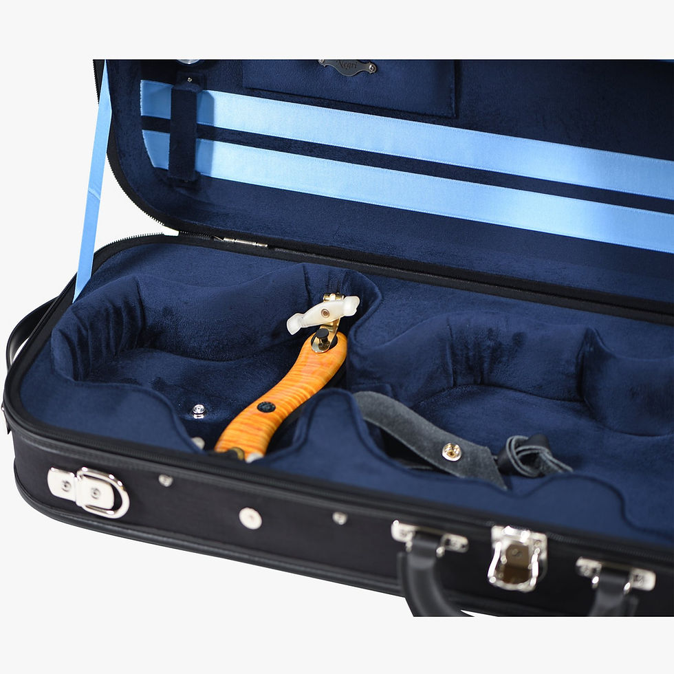 Thumbnail: Negri Venezia Wooden Violin Case