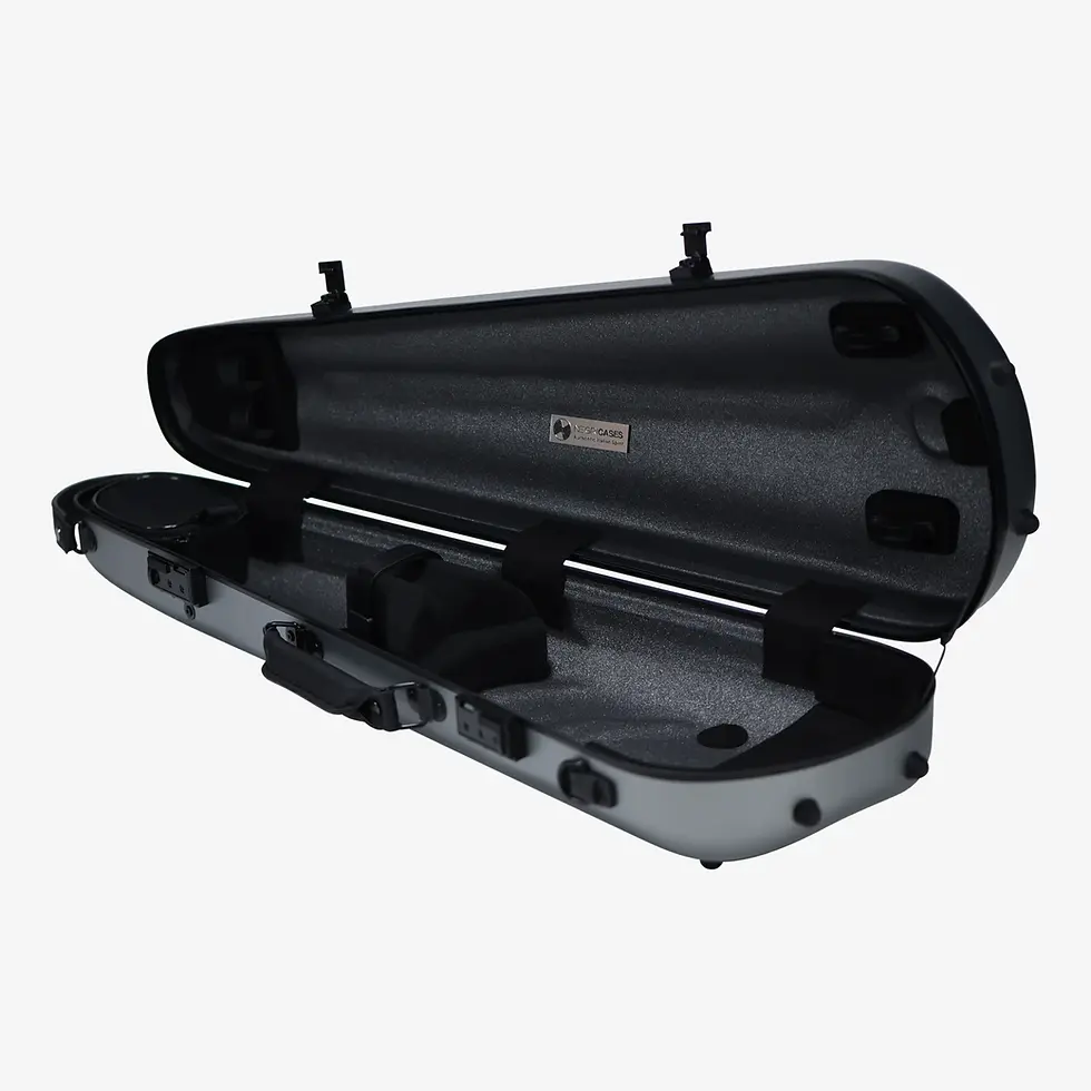 Thumbnail: Negri - Vulcano Triangular Violin Case