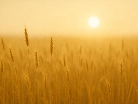 Musique enterrement : comment rendre un dernier hommage en musique, avec justesse et émotion