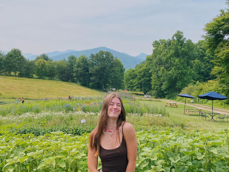 Asheville Businesses To Support While Rebuilding from Helene