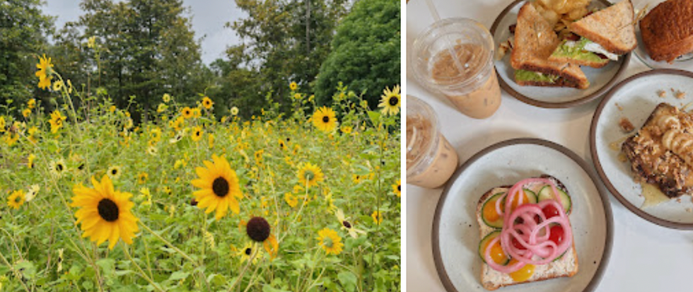 Blooms, Battleships, Boardwalks, and BBQ: A Day in Wilmington