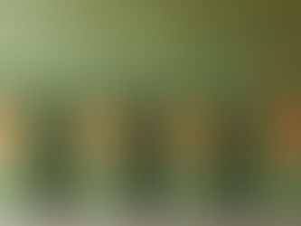 Gestão de resíduos