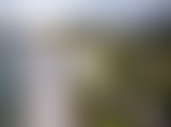 Four Seasons Anahita Mauritius Review: What Makes This Resort So Special?