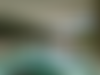 Boringdon Hall Hotel & Spa: A Devonian Sanctuary Where History and Holistic Wellness Converge