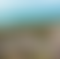 Azura Benguerra Island Review: Discovering Mozambique’s Hidden Gem