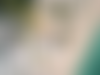 Kisawa Sanctuary Review: An Immersive Luxury Retreat in Mozambique