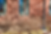 Website-Plate.png