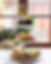 Cafe Qwensel Afternoon Tea premium.jpg