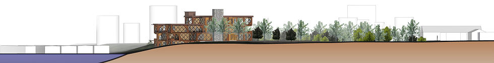 Site Section