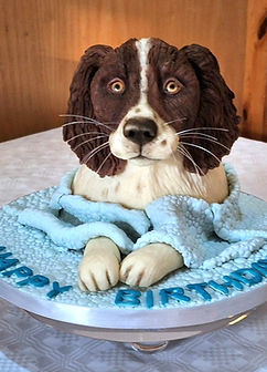 A cake in the shape of a spaniel dog
