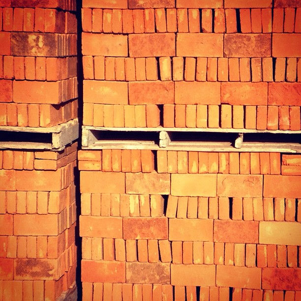 acerostlalpan_11244989_1576114722669901_1978238995_n