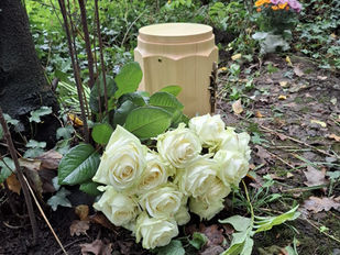 Asche in Urne, die in der Natur beigesetzt wird.