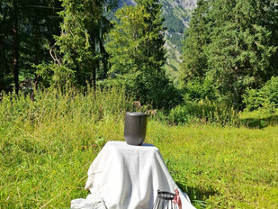 Urne in der Natur Asche verstreuen