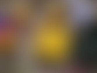 Social Media Advertising: Maximizing ROI with Targeted Campaigns