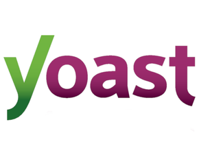 The Top WordPress Plugins for Website Development