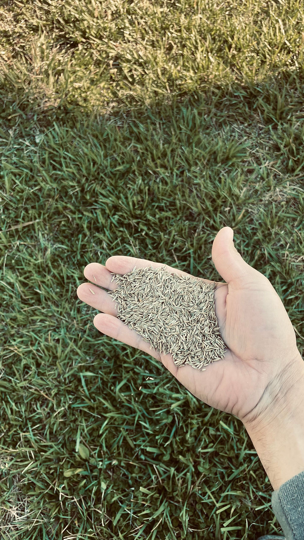 Lawn Care Services In Knightdale Green View Works Knightdale