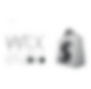 WIX Studio Shopify.png