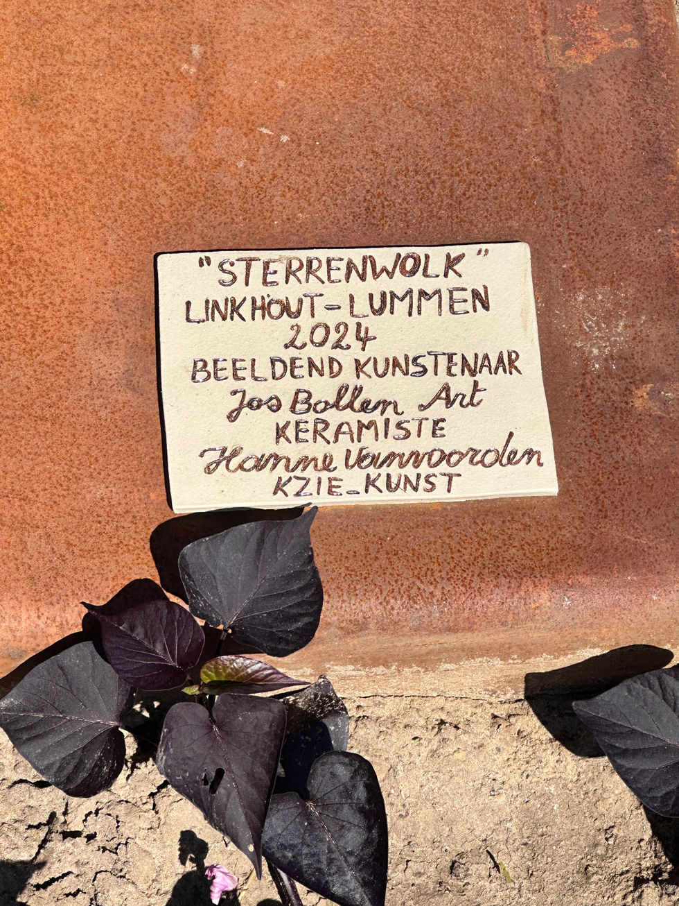 Kunstwerk "Sterrenwolk".