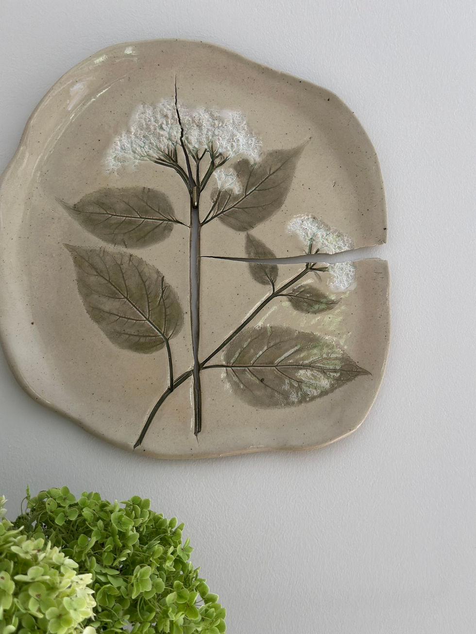 De kracht van kwetsbaarheid.
Keramisch bord met afdruk van een hortensia, gemaakt door Hanne Vanvoorden in het belevingsatelier kzie_kunst.