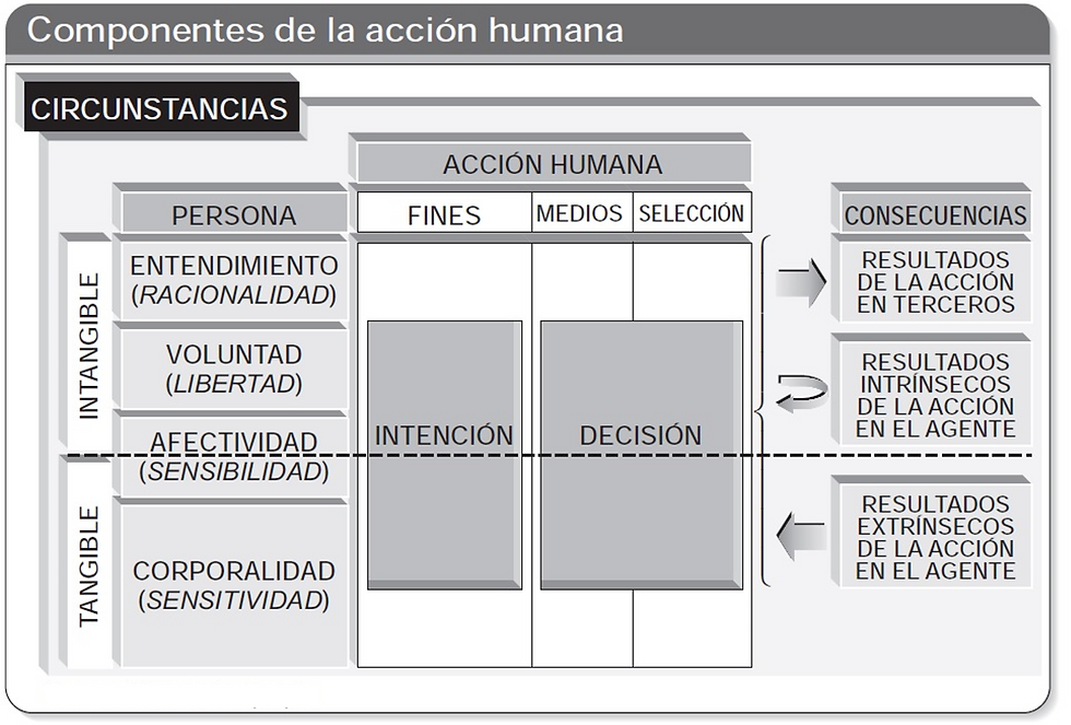 ¿Qué elementos hacen que la acción humana pueda ser valorada éticamente?