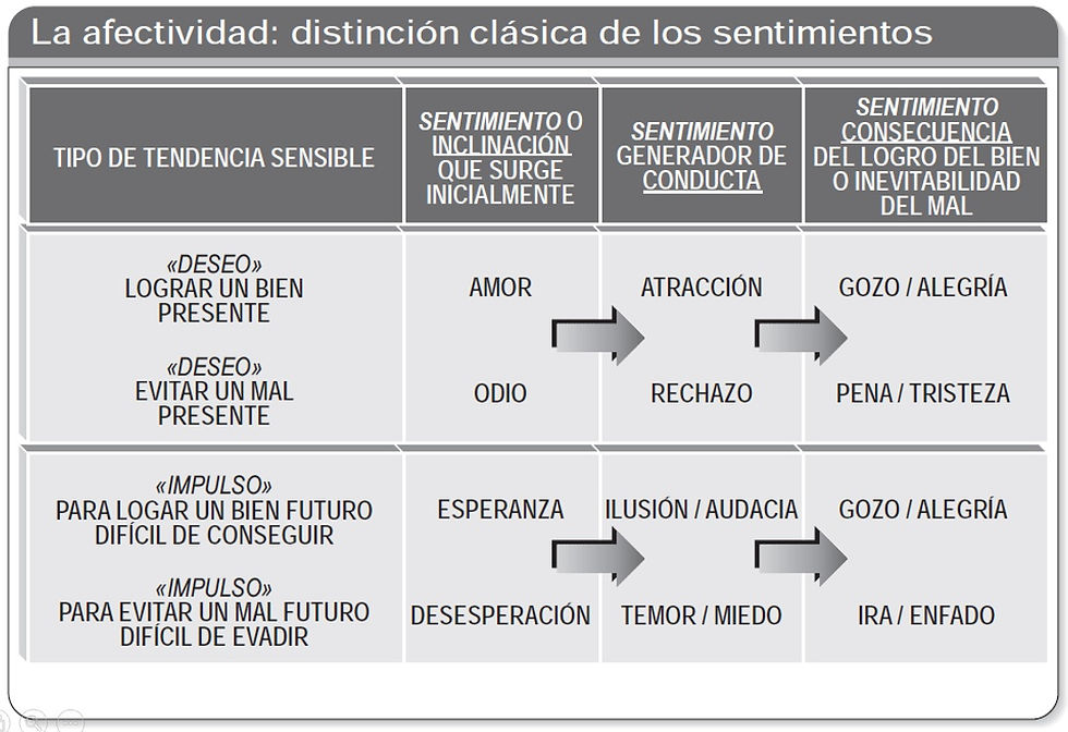 ¿Cómo surgen los sentimientos?