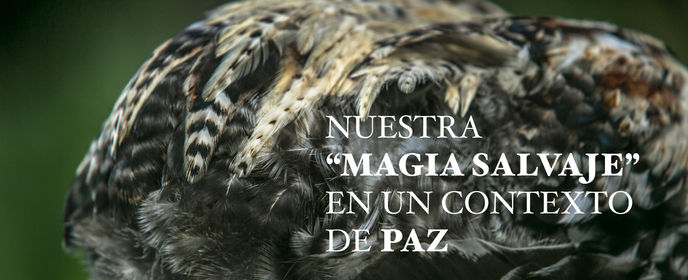 Nuestra “Magia Salvaje” en un contexto de paz