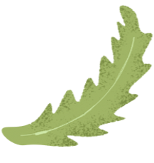 Leaf