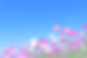 青空と花