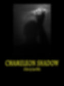 03-9-18-0330.jpeg