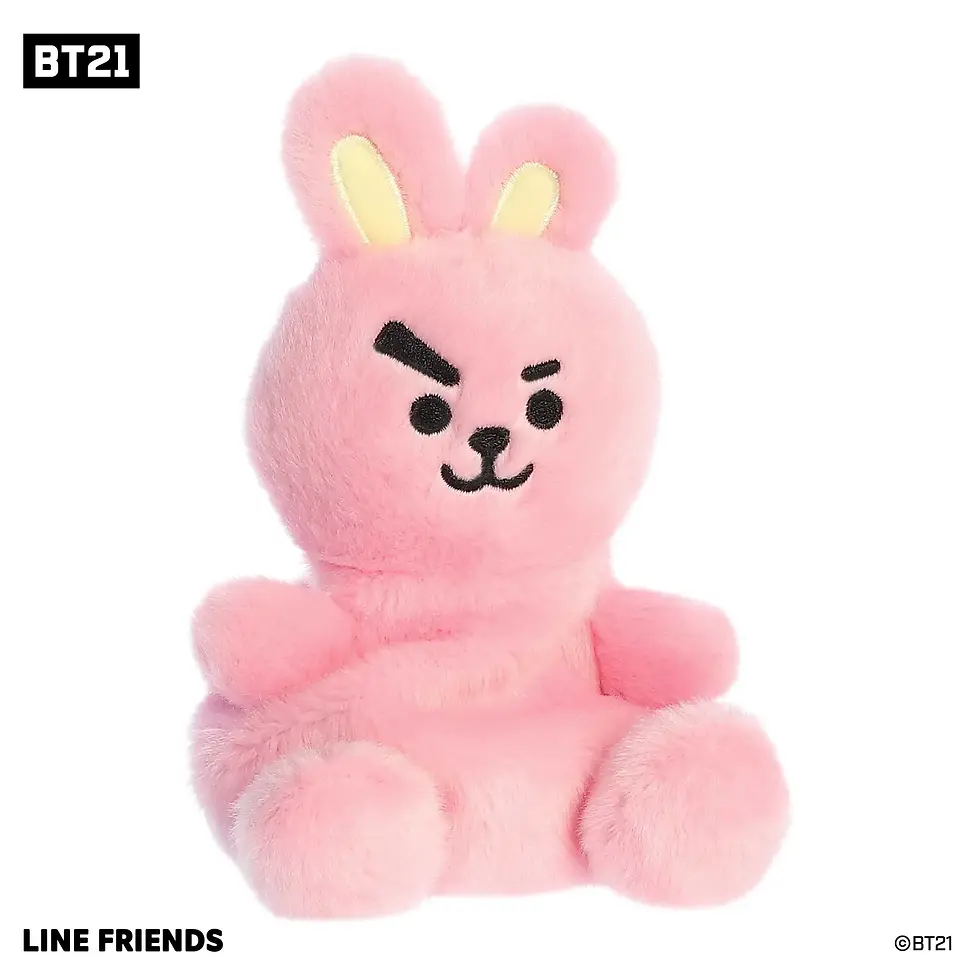 Miniature : BT21 - COOKY 5"