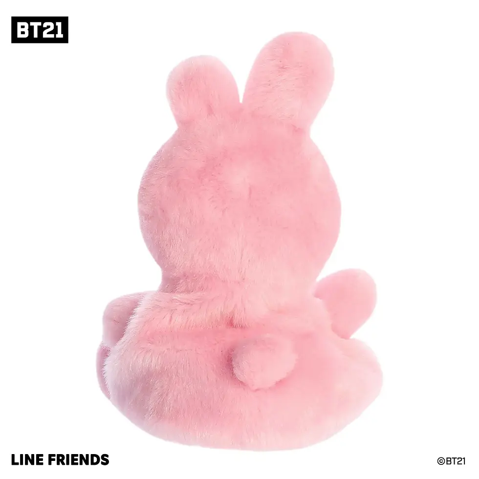 Miniature : BT21 - COOKY 5"