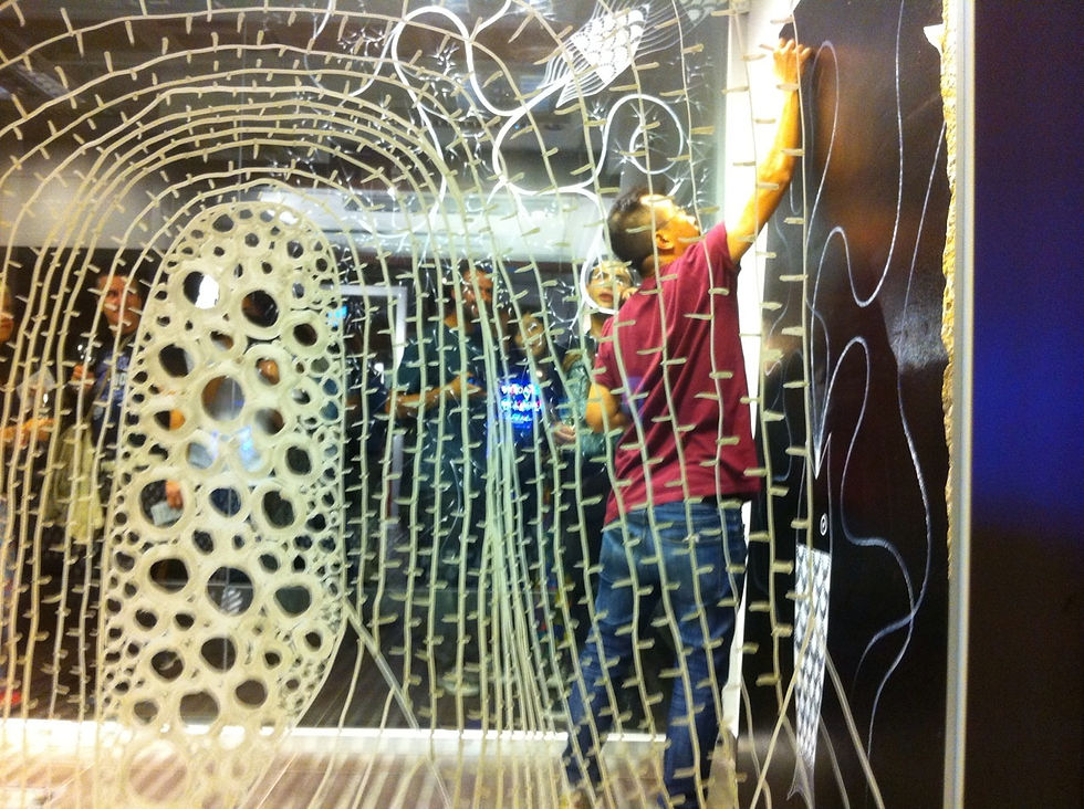 Installation "La Pecera"